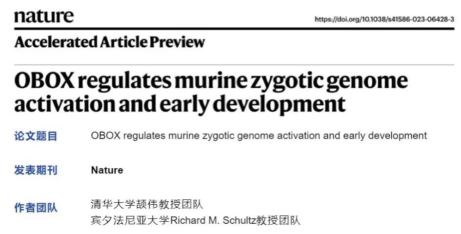 论文 | Nature！清华大学颉伟团队发现生命起源的关键调控因子