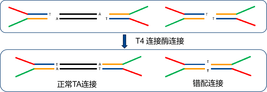 南京诺唯赞生物科技股份有限公司